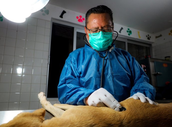 Inician aplicación en Texcoco del decálogo de prevención y atención del maltrato animal en el Edoméx