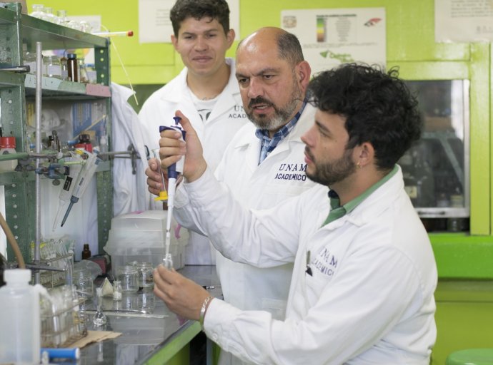 Clenbuterol en México: Desafíos Legales y Peligros para la Salud Pública