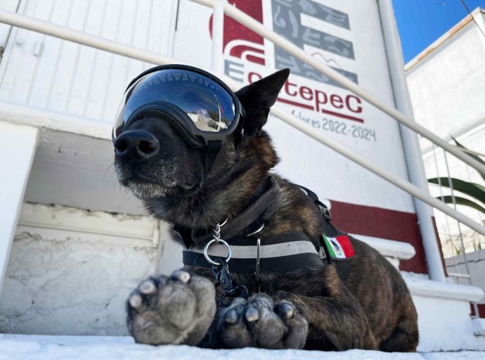 Bienestar y Retiro Digno: Despedida a Rigoberto y su Contribución a la Seguridad de Ecatepec