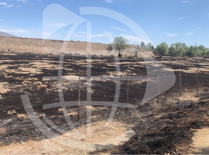 Incendio consume más de 8 Hectáreas de pastizales y vegetación en Zona Arqueológica de Teotihuacán