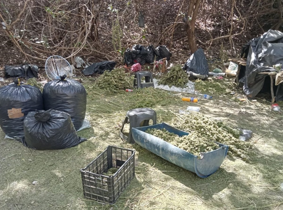 Incautación de Marihuana en Michoacán