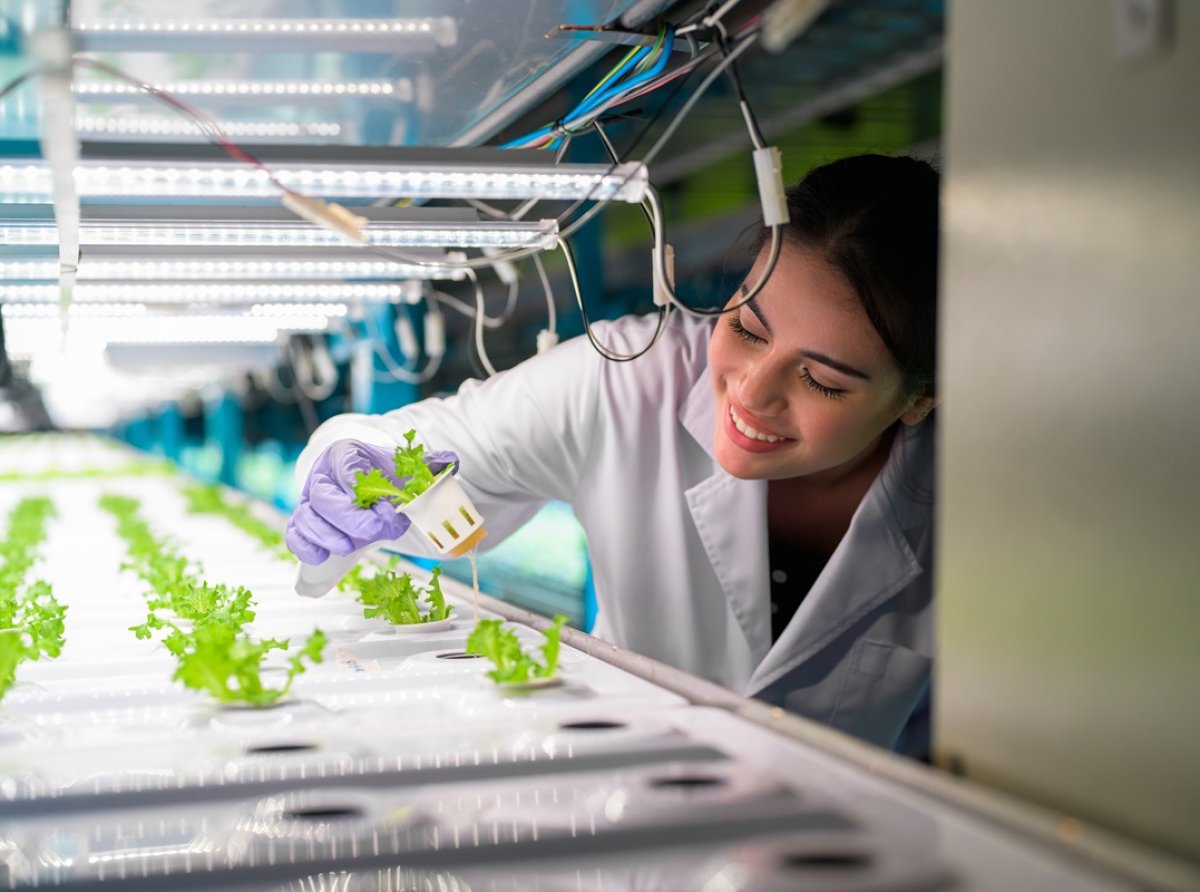 Importancia de la Investigación Temprana