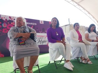 Diputada denuncia: Violencia Política contra Mujeres en Ascenso