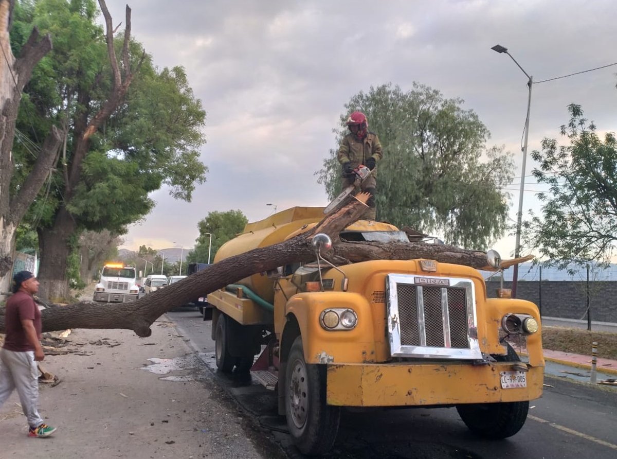 Personal de Rescate Remueve Árbol que Impactó Pipa en Texcoco