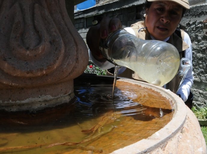 Cero Dengue: Llamado a la Acción en los Municipios del Sur del Estado de México