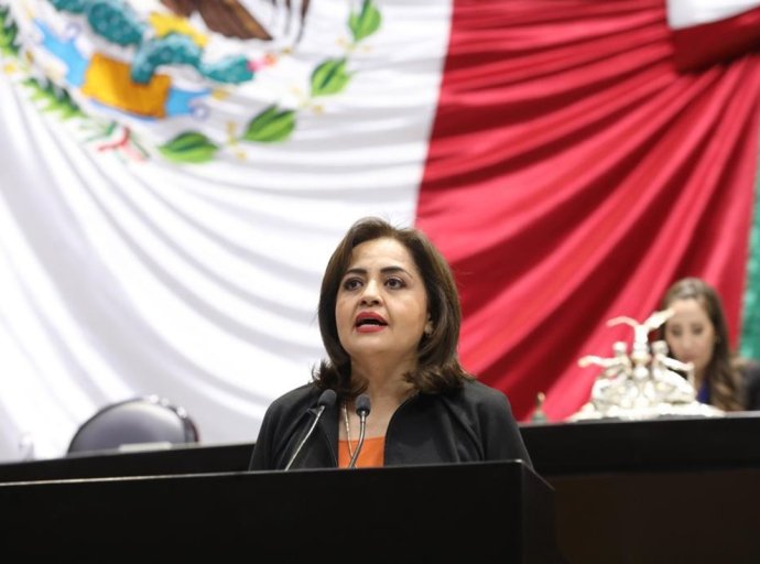 Llamado urgente a la seguridad electoral en el Estado de México