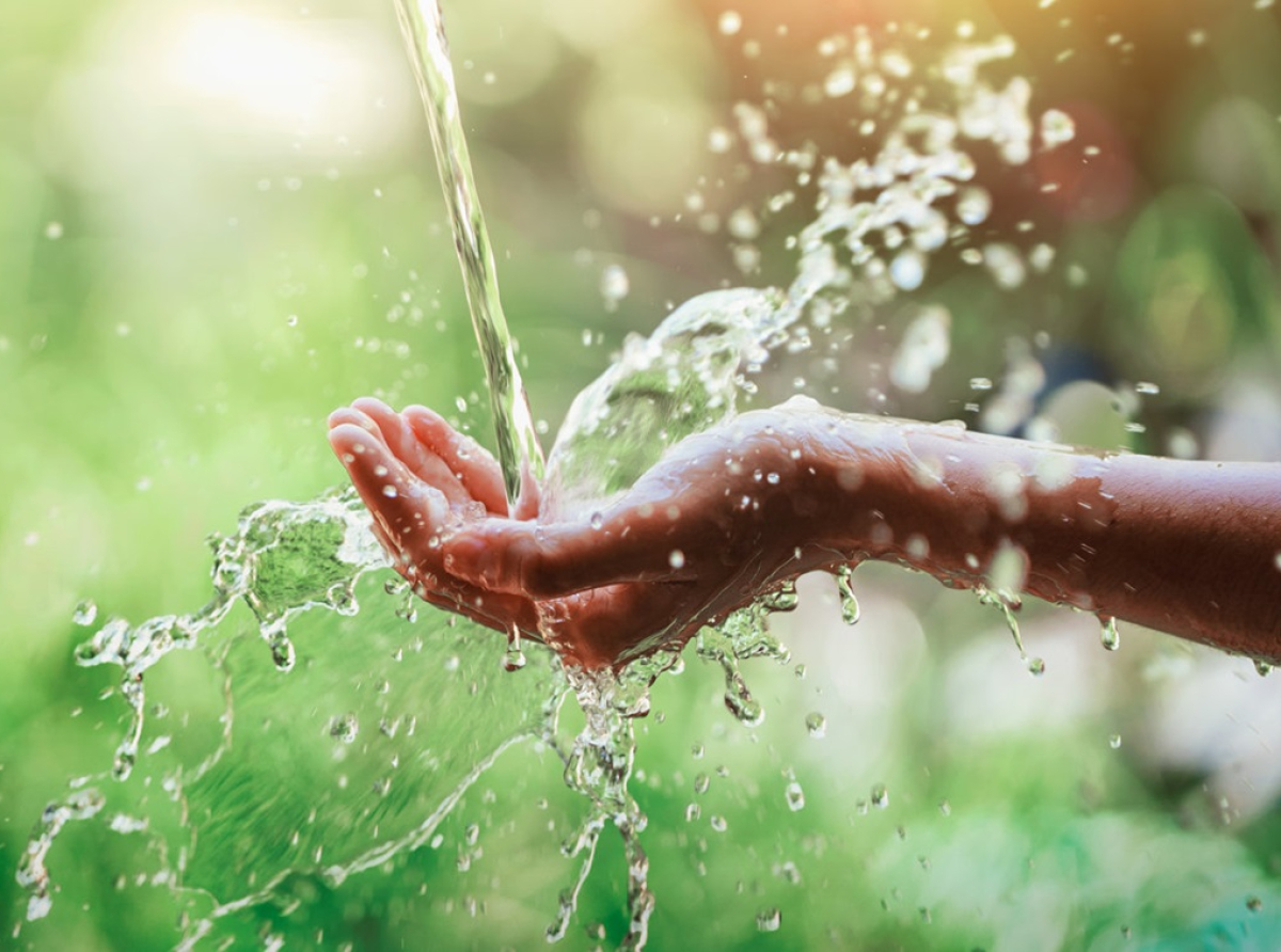 Crisis del Agua en México: Perspectivas y Soluciones