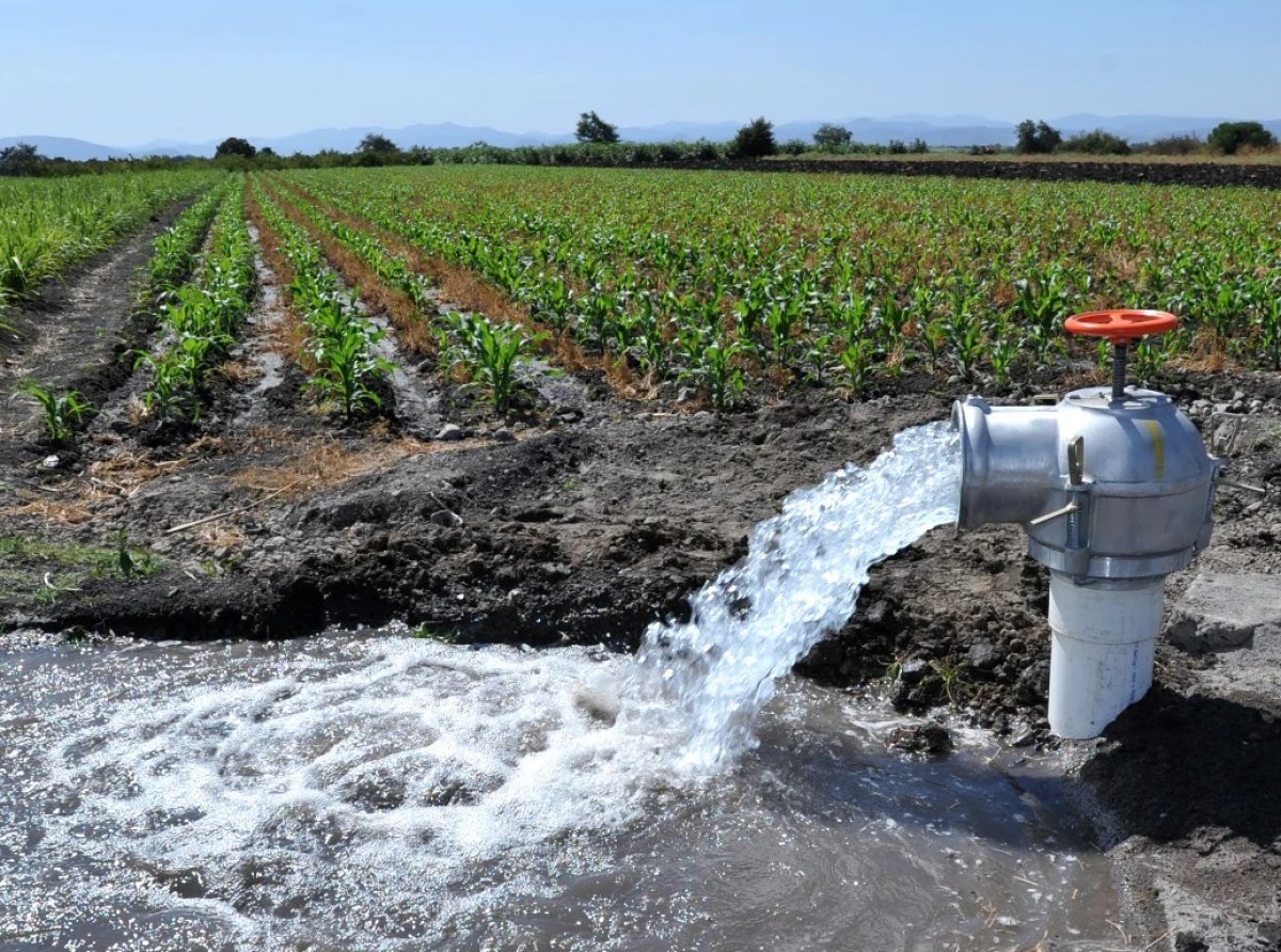 Facetas de México: NULAS POLÍTICAS PÚBLICAS EN USOS DEL AGUA