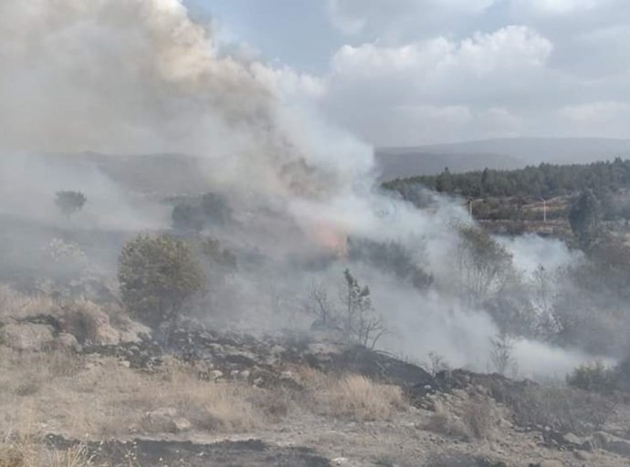 Llamado del Gobierno Municipal de Texcoco: Unión contra los Incendios en la Montaña