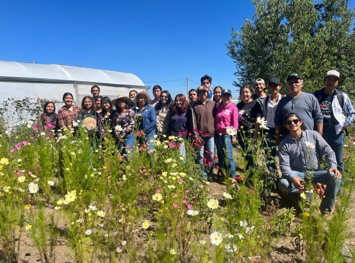 Día de la Semilla: UACh Rescata Cultivos Tradicionales y Nuevas Variedades