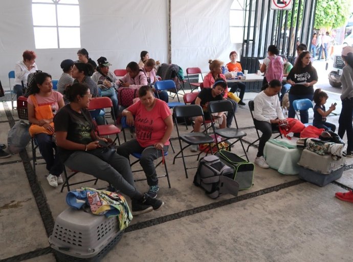 Texcoco Implementa Decálogo de Acciones Contra el Maltrato Animal con Campaña de Esterilización