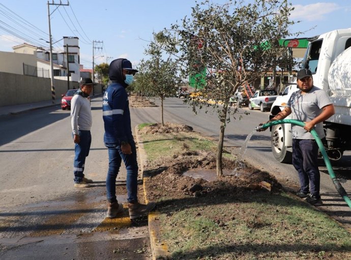 Día Mundial del Medio Ambiente: Tecámac Resalta sus Logros en Sostenibilidad