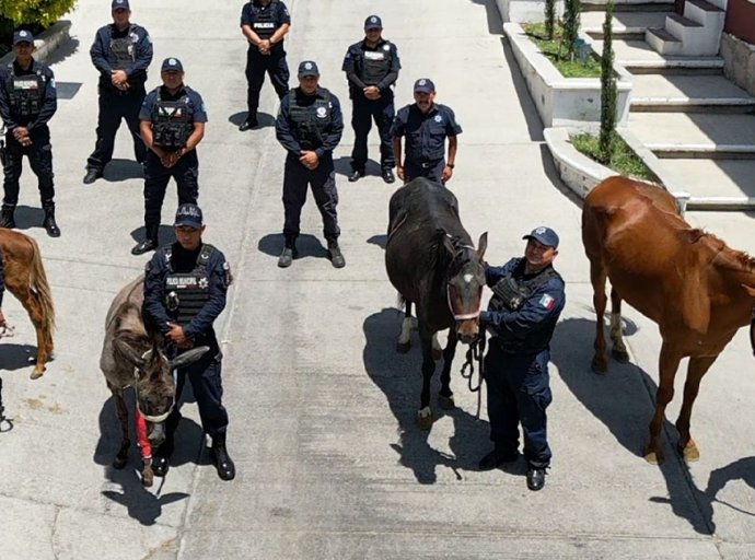 Policía Municipal de Ecatepec Rescata y Rehabilita Equinos Maltratados