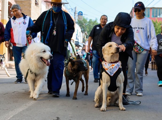 Caminata Canina en Texcoco promueve el trato digno a los animales
