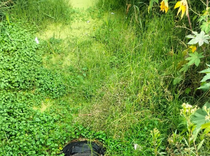 Hallan cadáver de un hombre en canal de aguas en Valle de Chalco