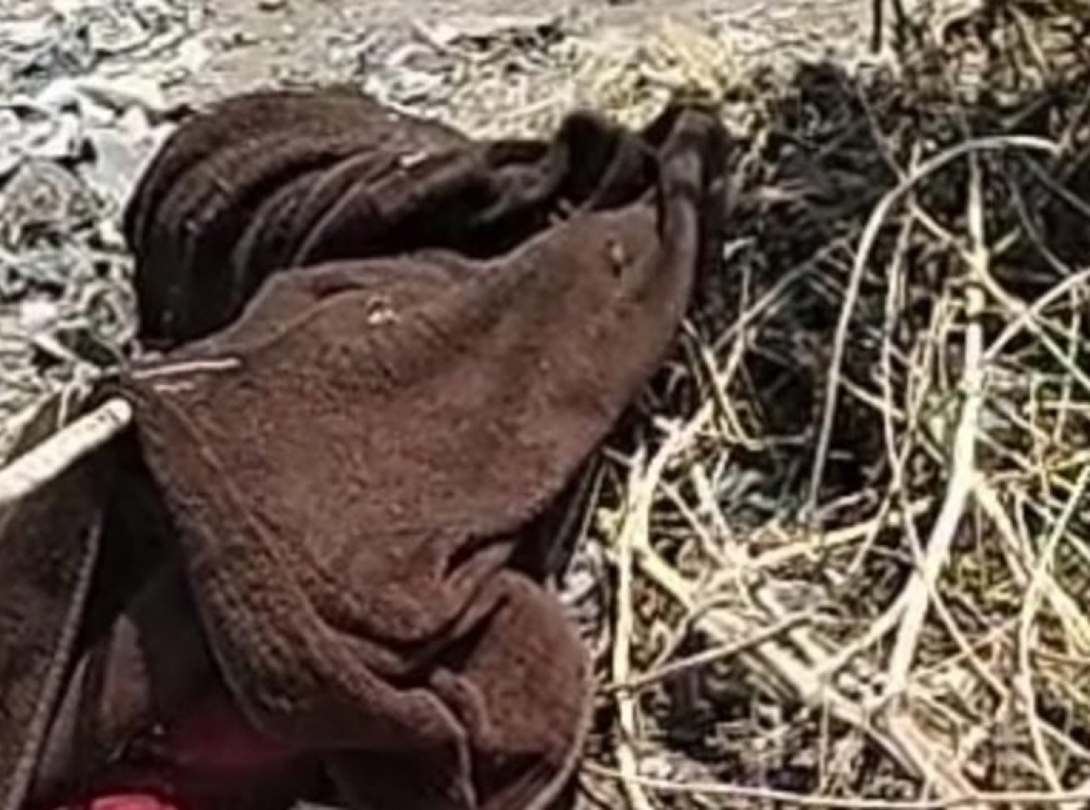 Hallan cuerpo de mujer con signos de tortura en camino de Tultitlán; Fiscalía Edoméx investiga homicidio