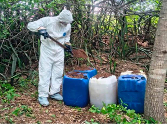 Localizan e inhabilitan áreas para fabricar drogas sintéticas en Sinaloa